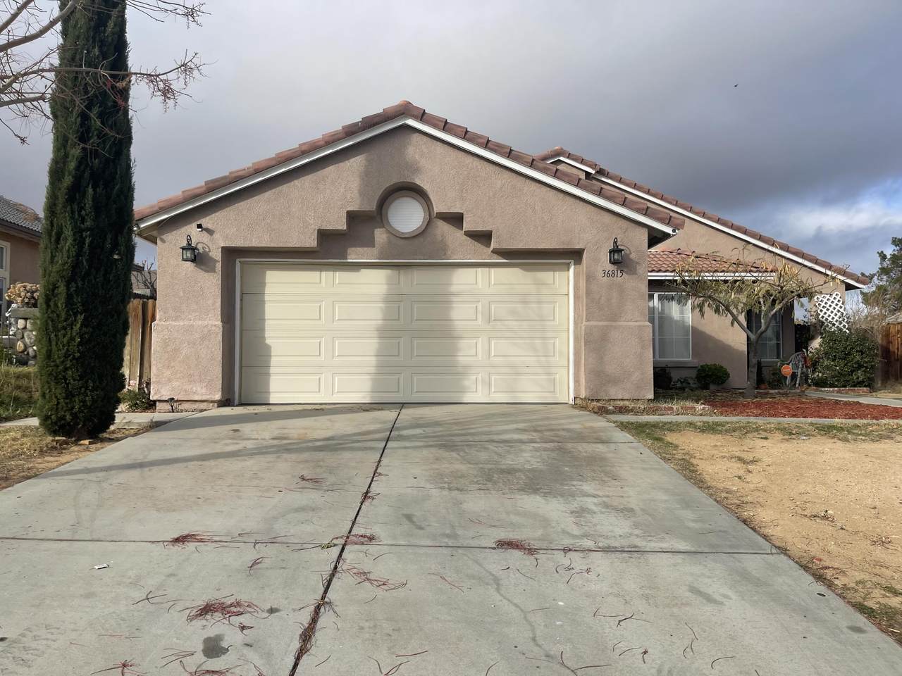 36815 Cobalt Street - Photo 1
