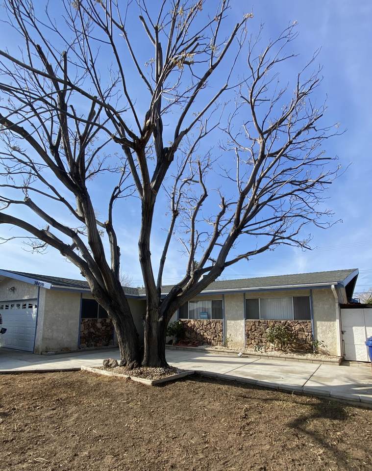 38459 2nd Street - Photo 1