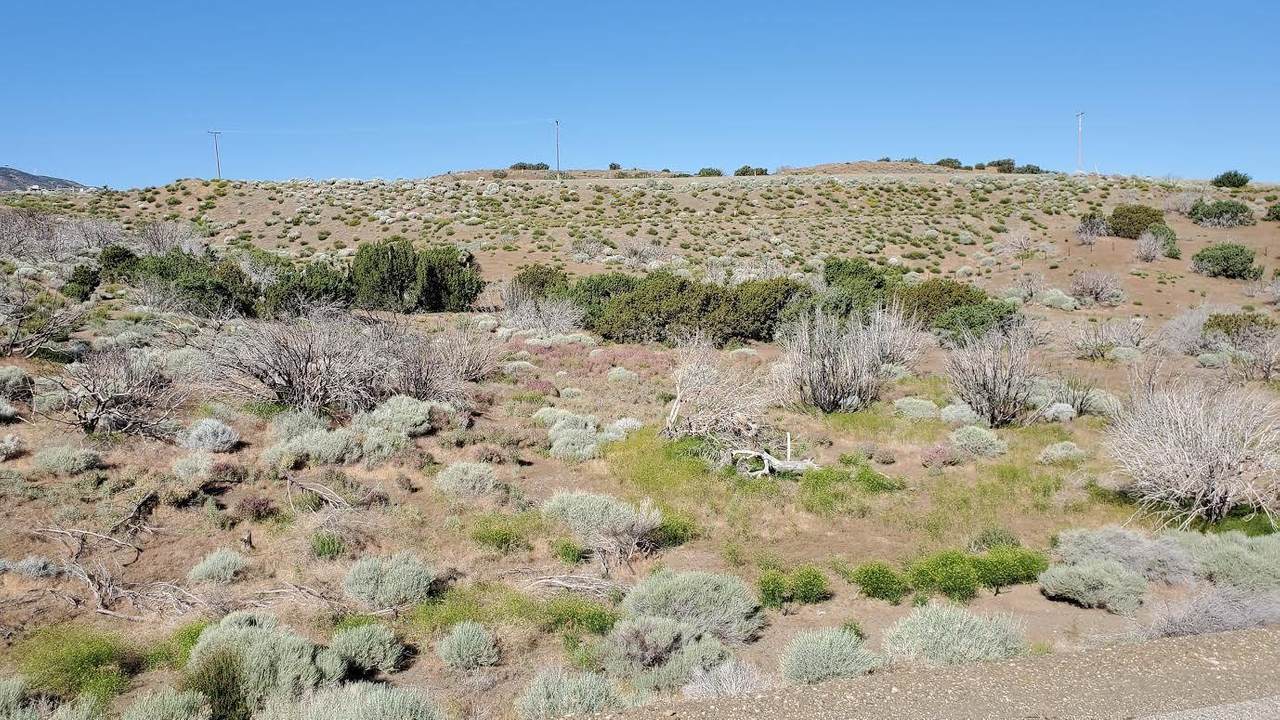 1718 Barrel Springs Road - Photo 1