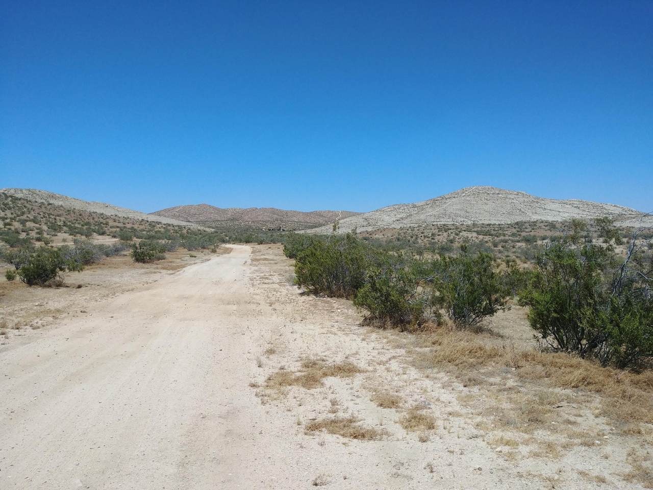 Lodestar Avenue - Photo 1