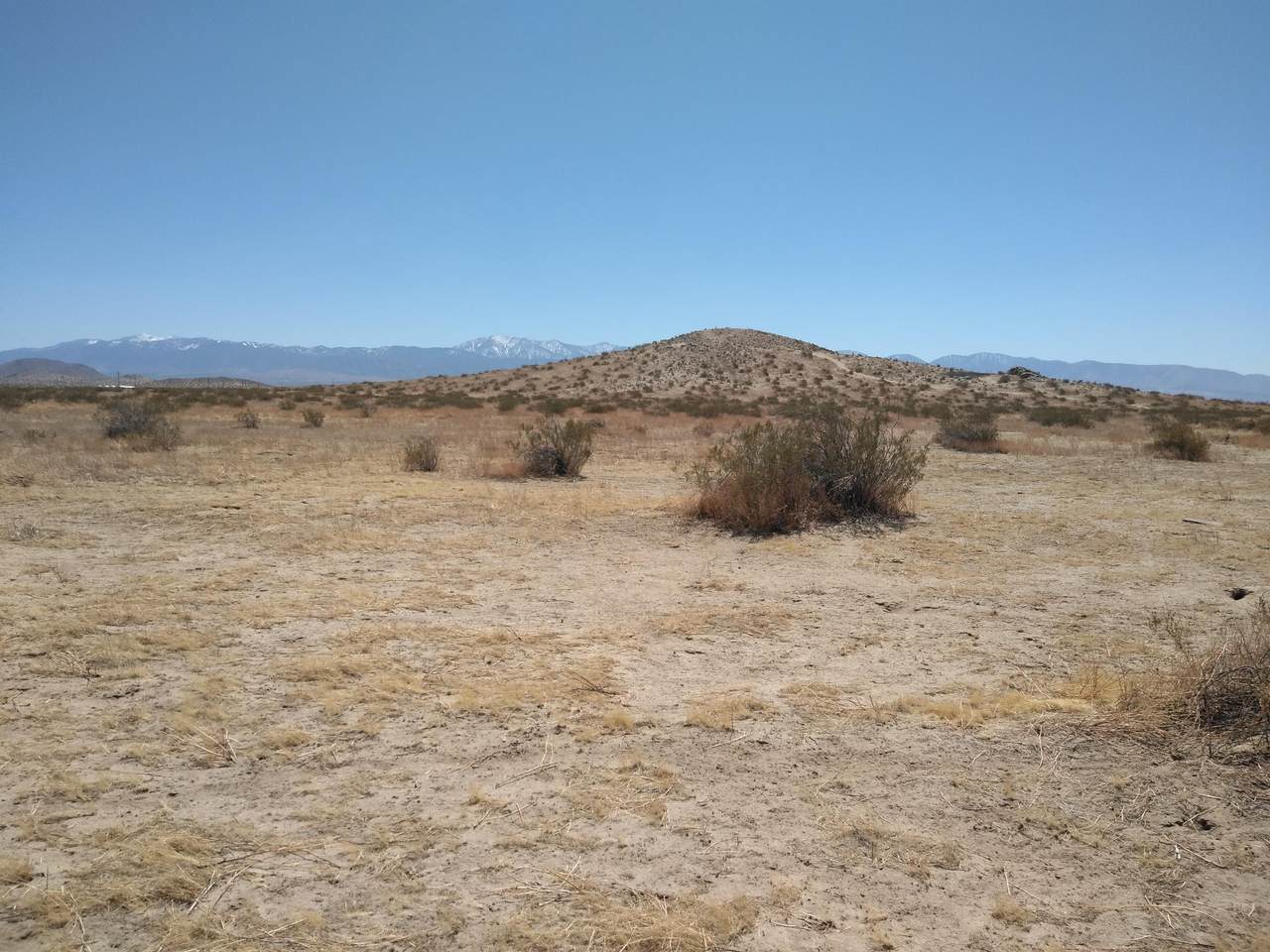 Ave N8 Vic Largo Vista - Photo 1