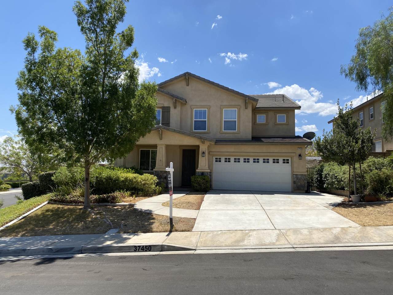 37450 Peachwood Place - Photo 1