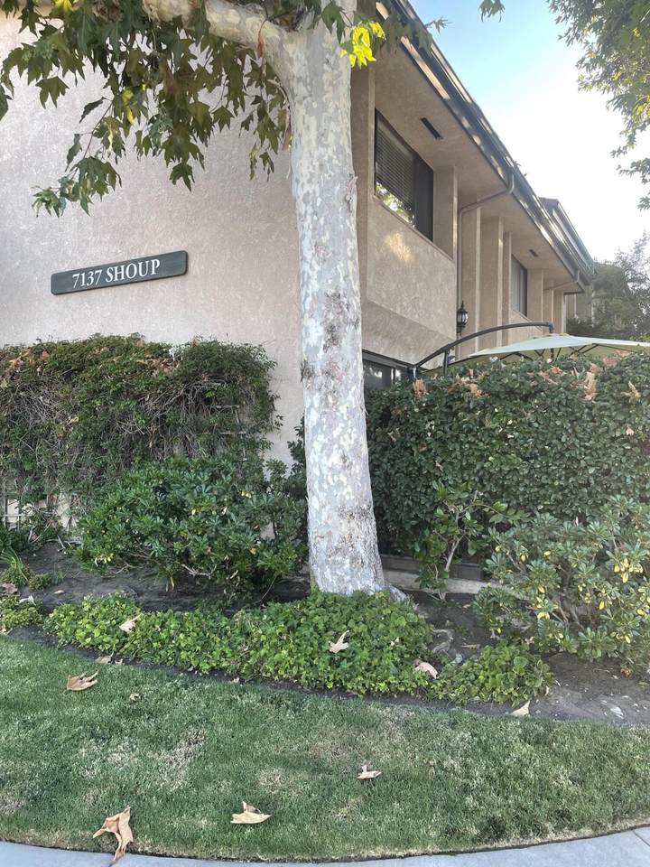7137 Shoup Avenue - Photo 1