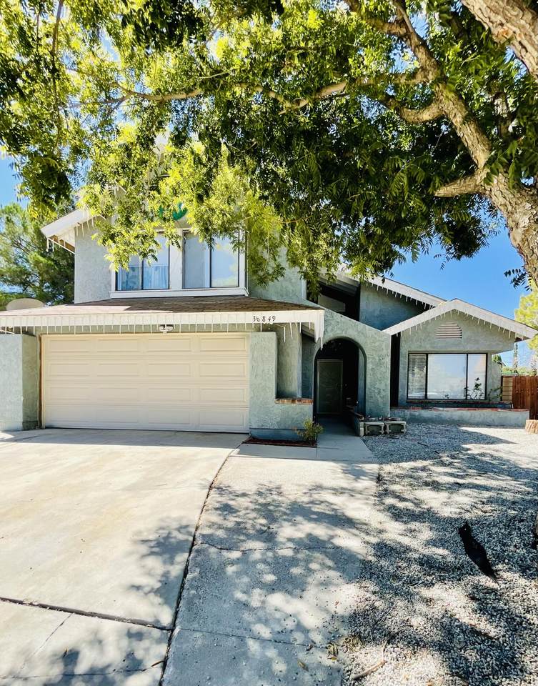 36849 Apache Plume Drive - Photo 1