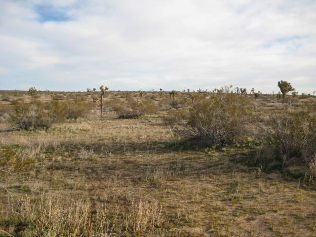 110th St. Near Ave O-12 - Photo 1