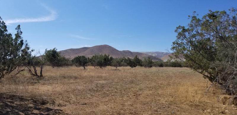 Crown Valley Road - Photo 1