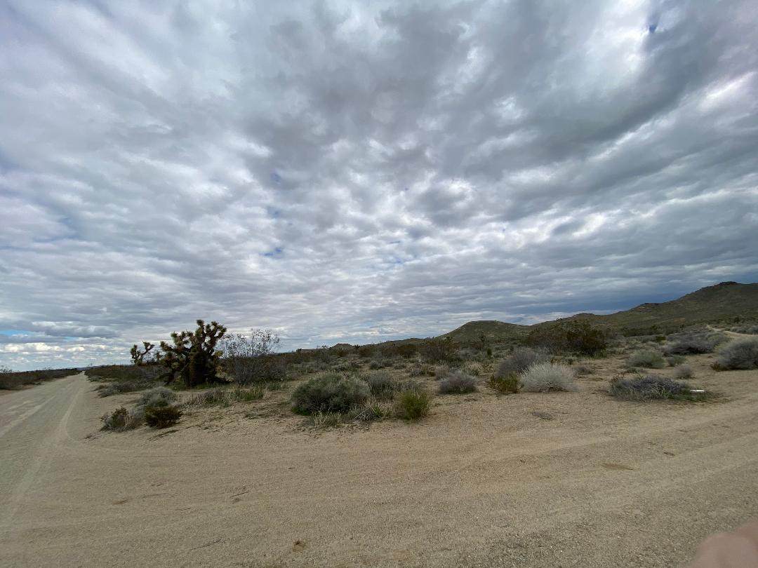 Montiverde Road - Photo 1