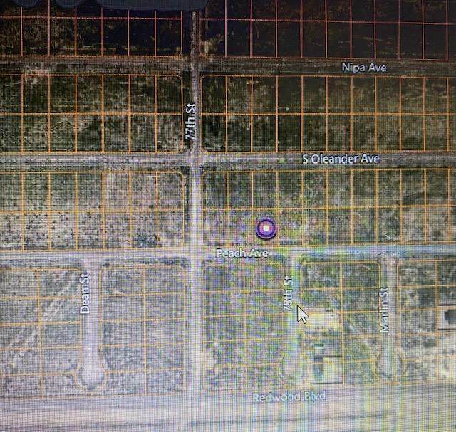 Peach Avenue - Photo 1