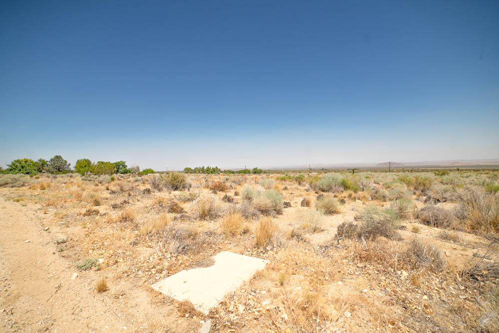 Cor Avenue Y3 Drt 228 Ste - Photo 1