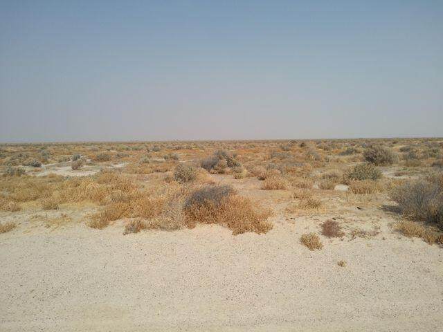 14 Freeway & Backus Road - Photo 1