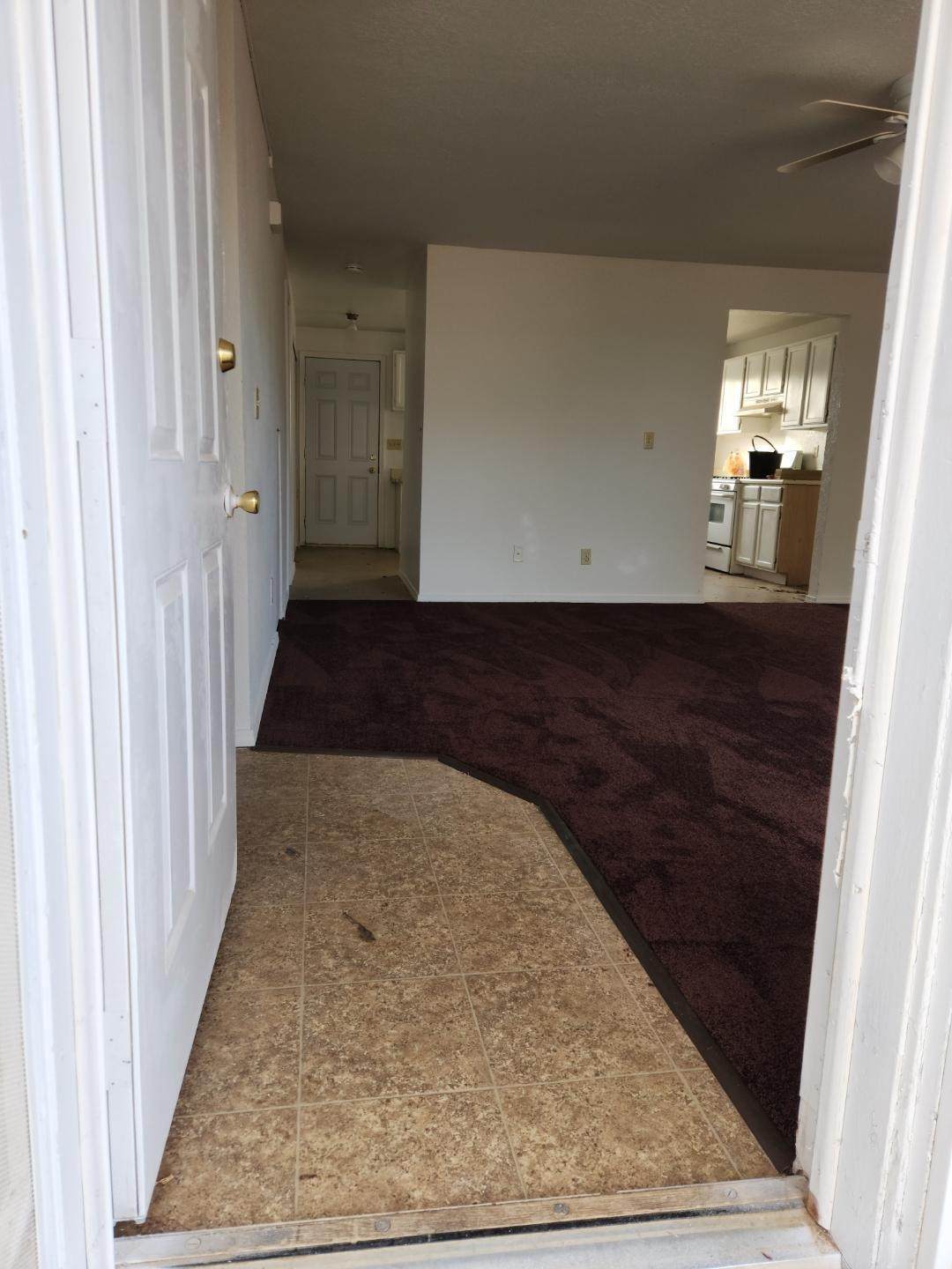 8331 Columbine Avenue Avenue - Photo 1