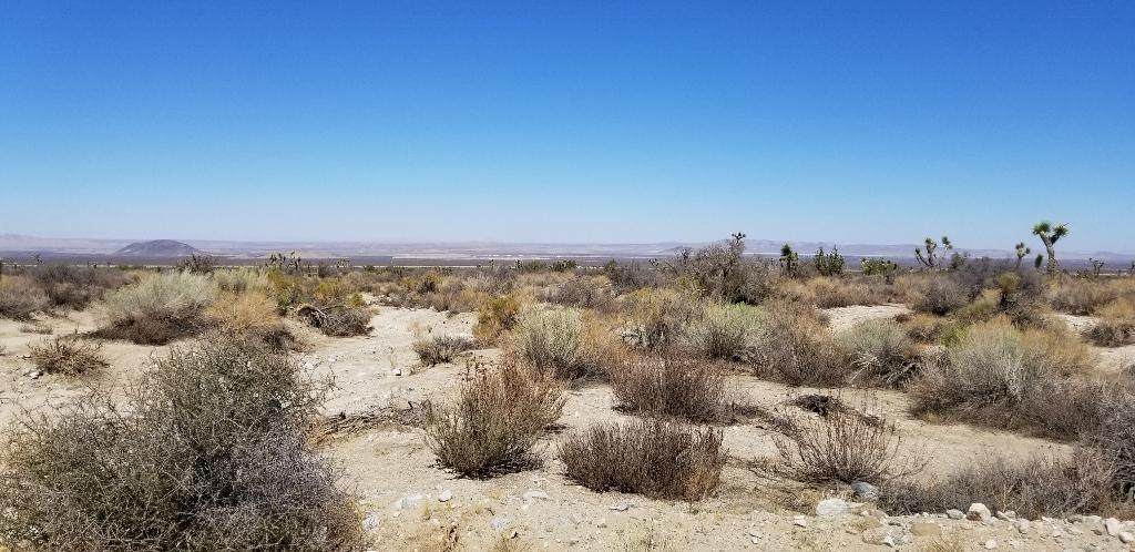 243rd & Fort Tejon Road Road - Photo 1