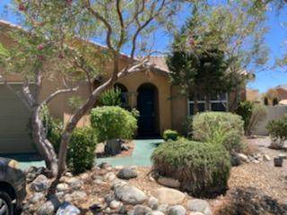 14403 Doe Skin Way - Photo 1