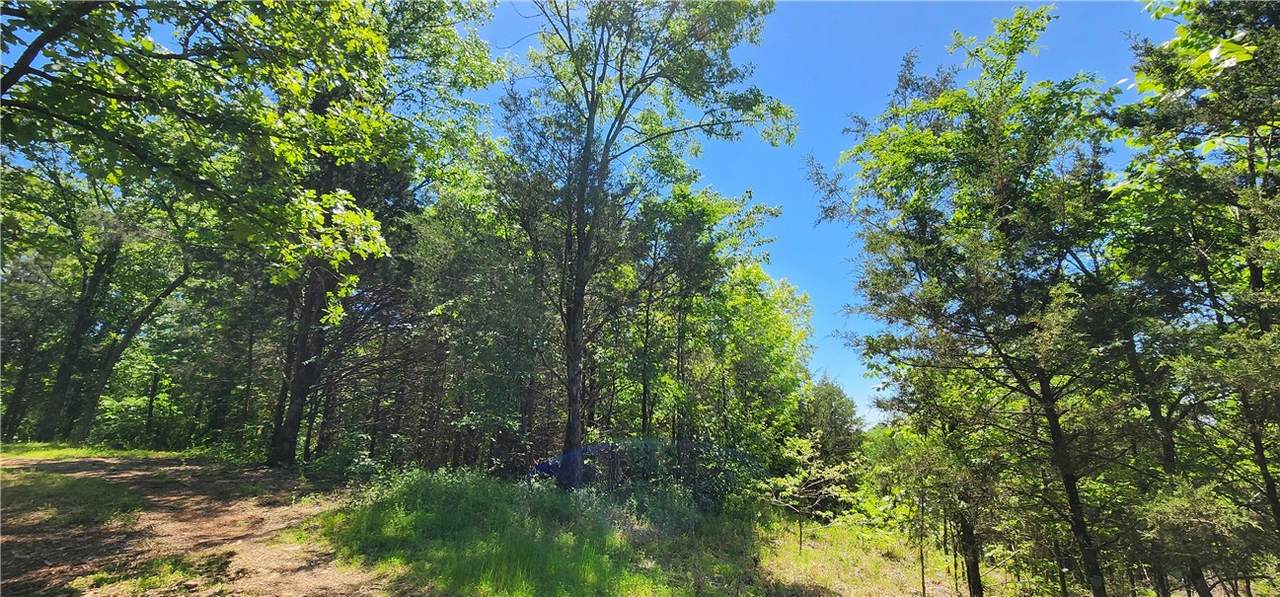 TBD Frankfort Avenue - Photo 1