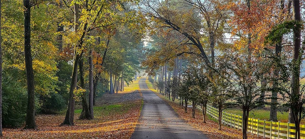 https://bt-photos.global.ssl.fastly.net/arkansas/1280_boomver_1_1344225-2.jpg