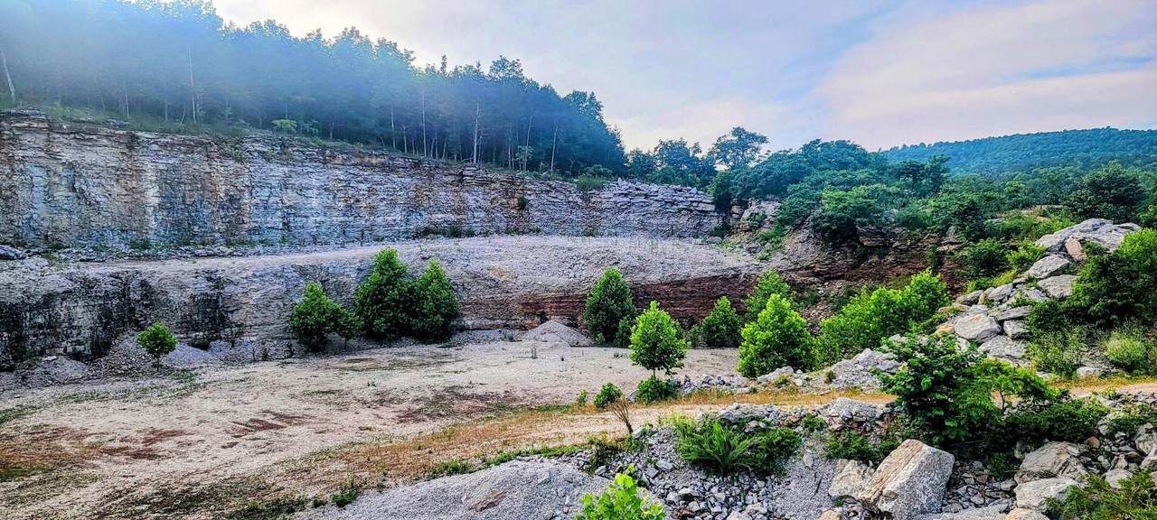 29423 Hwy 123 - Photo 1