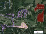0 Sugar Creek Road - Photo 2