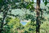  Lakeview Drive - Photo 4