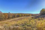 21455 430 Road - Photo 51