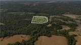 21.4 AC Sugar Creek Road - Photo 4