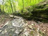 1619 Stone Road - Photo 15