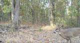 1619 Stone Road - Photo 25