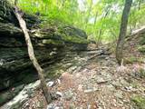 1619 Stone Road - Photo 6