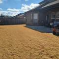 4705 Bedingfield Street - Photo 2