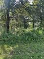 4019 Savannah Drive - Photo 1
