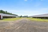 37764 Petetree Road - Photo 18