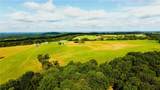 13206 Little Road - Photo 1
