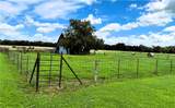 13206 Little Road - Photo 17