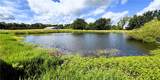 13206 Little Road - Photo 18