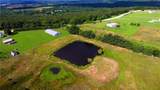 13206 Little Road - Photo 24