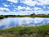 13206 Little Road - Photo 3