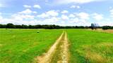 13206 Little Road - Photo 31