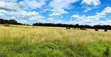 13206 Little Road - Photo 32
