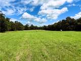 13206 Little Road - Photo 34