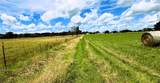 13206 Little Road - Photo 35