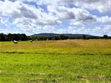 13206 Little Road - Photo 36