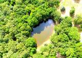 13206 Little Road - Photo 42