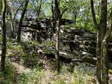 13206 Little Road - Photo 50