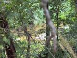 795 County Road 719 - Photo 14