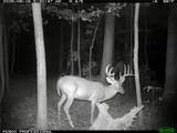 TBD Hwy 16 - Photo 18