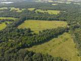 013 Rhino Road - Photo 5