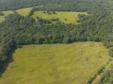 013 Rhino Road - Photo 8