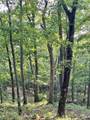 14790 Slaty Gap Road - Photo 32