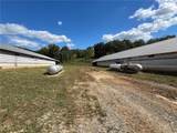 590 Marion County 6016 - Photo 13