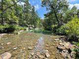 360 Acres Pigeon Creek Road - Photo 13