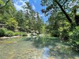 360 Acres Pigeon Creek Road - Photo 14